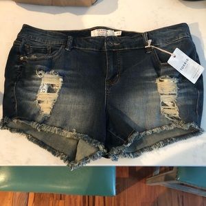 Torrid jean shorts